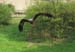 Mai00057