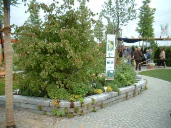0SCF0022