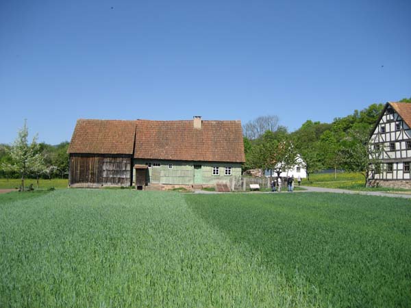 IMG_3711