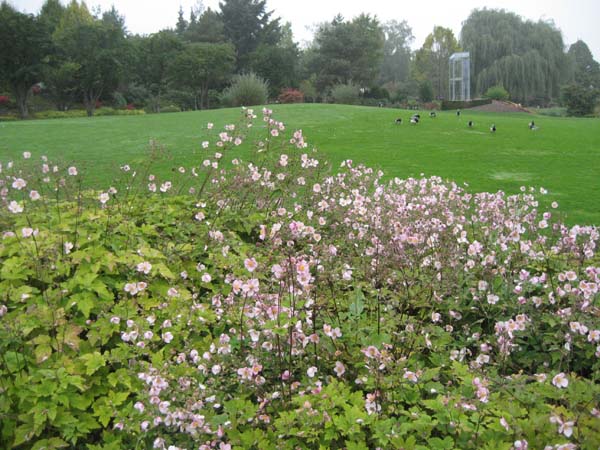 IMG_9791_9680