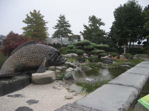 IMG_9791_9681
